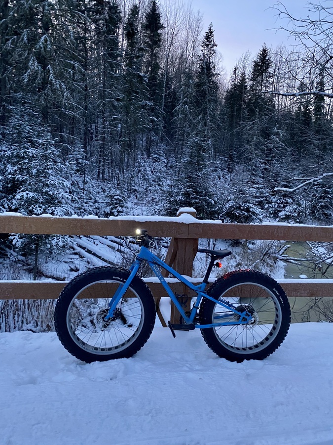 2019 surly ice cream truck for sale