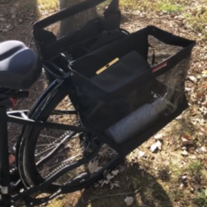 Free Force 28" Black