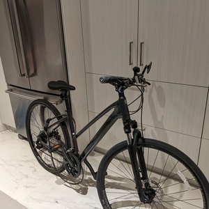 2020 Trek Dual Sport 1 Black