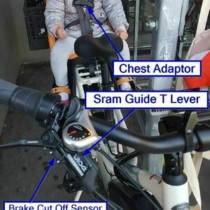 2021 Rad Power Bikes Rad Wagon 4 White