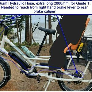 2021 Rad Power Bikes Rad Wagon 4 White