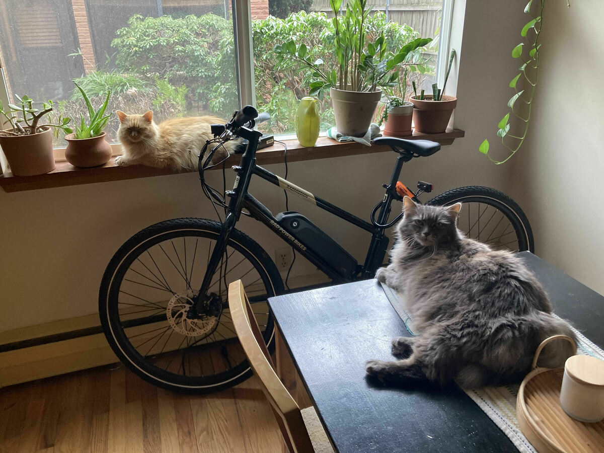 Bike photo