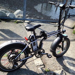 2020 Rad Power Bikes Black