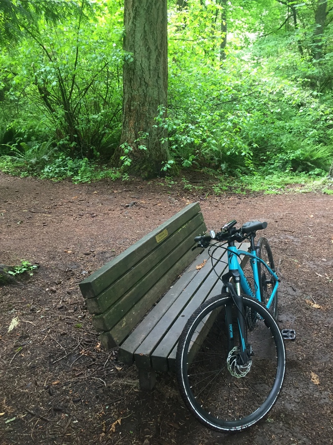 2019 specialized crosstrail