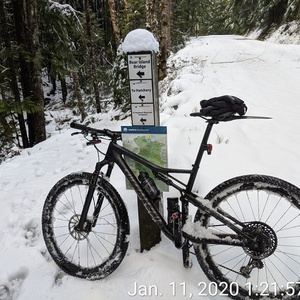 2019 Specialized Epic Expert Brown