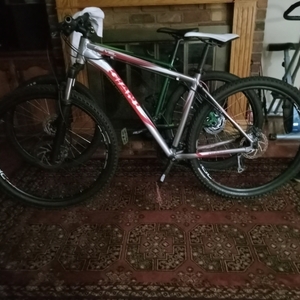 2022 Giant Reveal Silver, gray or bare metal