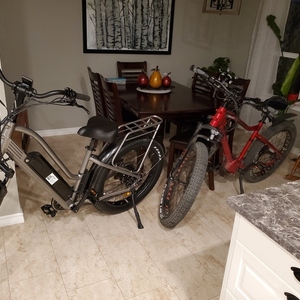 2020 Biktrix Juggernaut Red