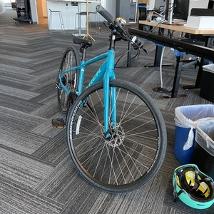 2020 Trek Alpha Gold Aluminum, DuoTrap S compat... Teal