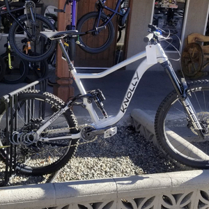 2021 Knolly Warden Silver, gray or bare metal