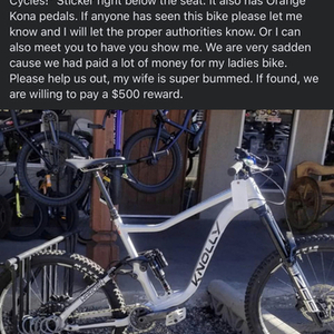 2021 Knolly Warden Silver, gray or bare metal