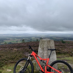2018 Specialized Camber 29" Red