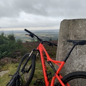 2018 Specialized Camber 29" Red