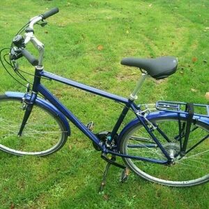 Raleigh Pioneer1 Blue