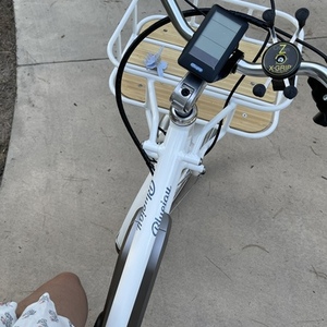 2022 Bluejay Bikes Premiere Edition E-Bike White