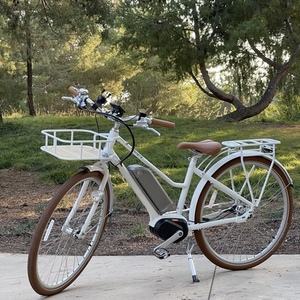 2022 Bluejay Bikes Premiere Edition E-Bike White
