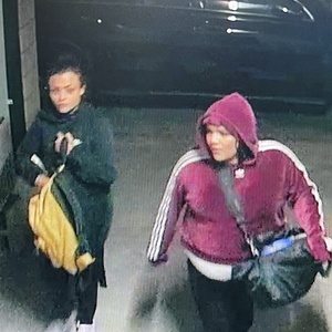 2022 Bluejay Bikes Premiere Edition E-Bike White