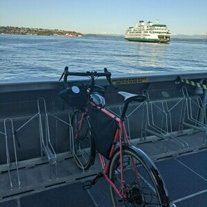 2019 Surly Straggler Pink