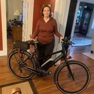 2016 Gazelle Cityzen Black