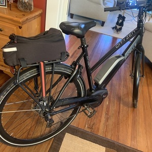 2016 Gazelle Cityzen Black