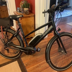 2016 Gazelle Cityzen Black