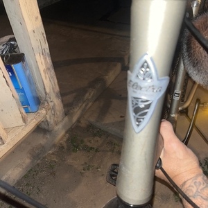 2022 All City Beach cruiser Stickers tape or other cover-up and Green