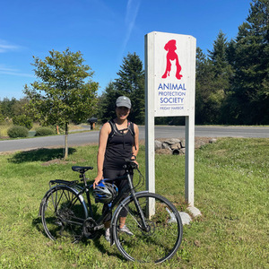 2013 Specialized Sirrus Black