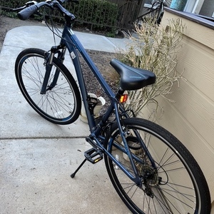 2022 Schwinn Blue