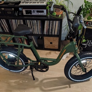 2022 Rad Power Bikes Radrunner 2 Green