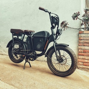 2021 Rad Power Bikes Radrunner Black