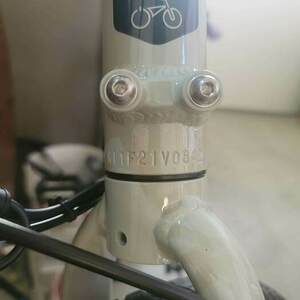 2022 Rad Power Bikes RADMISSION Silver, gray or bare metal