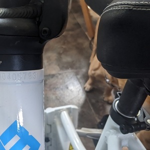 2020 Lectric eBikes step through White