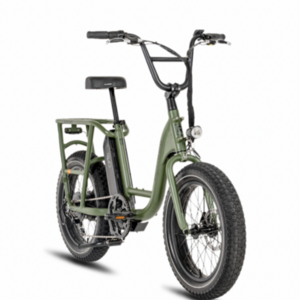 2022 Rad Power Bikes RadRunner 2 Green