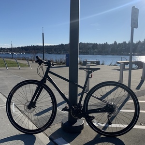2021 Marin Bikes Muirwoods Black