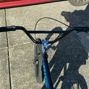 2020 Kink Whip Black