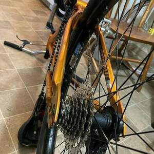 2021 Mongoose Orange