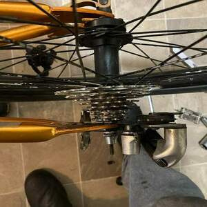 2021 Mongoose Orange