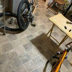 2021 Mongoose Orange