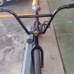 2022 Fit bike Co. TEAM Blue