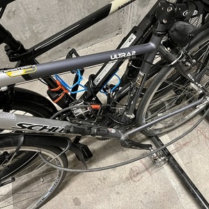 Schwinn Super Sport Ultra 20 Silver, gray or bare metal