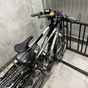 Schwinn Super Sport Ultra 20 Silver, gray or bare metal