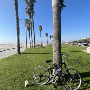 KHS Bicycles BRENTWOOD Mens/17 Black