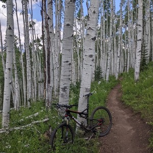 2014 Trek Superfly FS 9.8 SL Black
