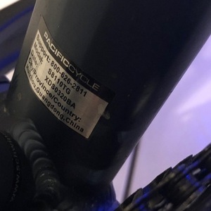 2021 Schwinn S8110TG Blue