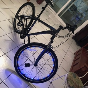 2021 Schwinn S8110TG Blue