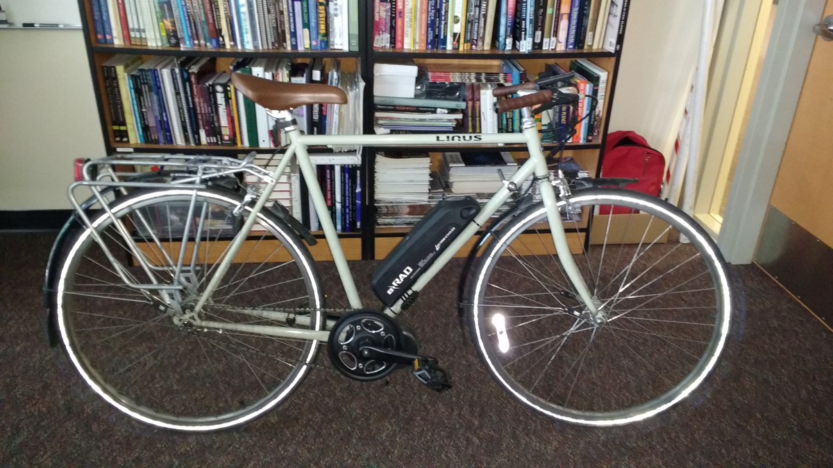 Linus Bikesライナスバイク　ガストン3 Gaston3 自転車　バイク ライナスバイクのパスレーサー、Gaston 3（ガストン3） - 自転車通販