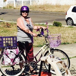 2014 Schwinn Purple