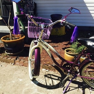 2014 Schwinn Purple