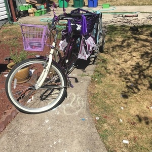 2014 Schwinn Purple