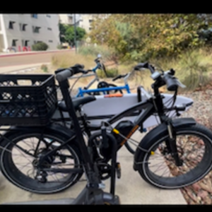 Rad Power Bikes RadRover Black