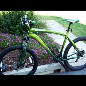 2010 Specialized P.1 All Mountain Disc Green